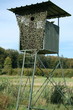 Mirador de chasse
