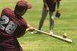 Batter