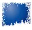 Forest in Winter