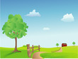 Summer Pasture