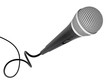 microphone flying