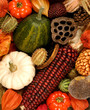 Autumn decorations
