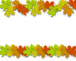 Autum Background leaves Autum Background leaves