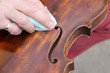violino