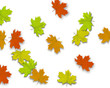 Autum Background Autum Background