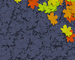 Autum Background Autum Background