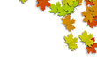 Autum Background Autum Background