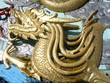 Golden Dragon