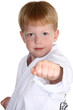Martial Arts Boy