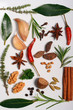 Aromatic herbs