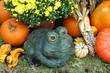 happy frog happy frog