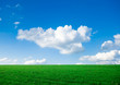 green grass with bright blue sky green grass with bright blue sky