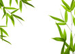bamboo- leaves