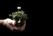 environment