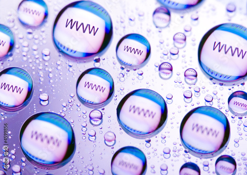 www