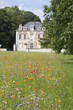 champ de fleurs 1