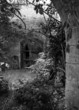 Ruined Church garden