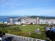 Stadtansicht Wellington