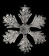 Eiskristall