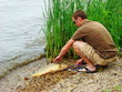 Catch of the day