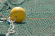 Trawling Net