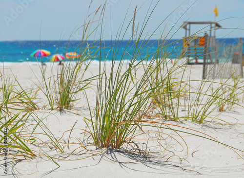 Seagrass with Colorful Umbrellas and Lifeguard Shack Seagrass with Colorful Umbrellas and Lifeguard Shack