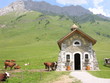 les vache a la chapelle les vache a la chapelle