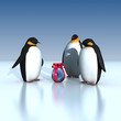 penguins