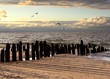 canvas print picture Evening on Baltic sea