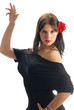 Foto: flamenco dancer flamenco dancer