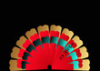 Chinese Fan with Calligraphy