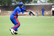 Cricket Game