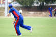 Cricket Game