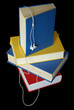 Hörbuch