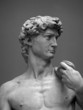 Museum Replica David 1