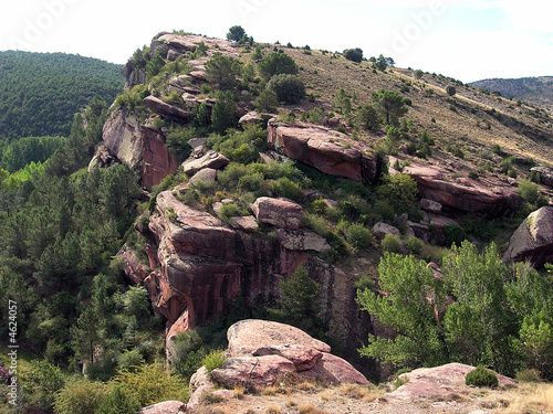 Pinares del Rodeno - Albarracin (Teruel) Aragon -Spain