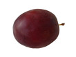 PRUNE