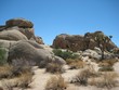 Foto: Joshua Tree National Park Joshua Tree National Park