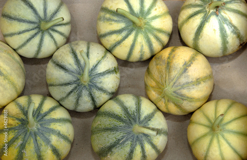 Melons at farmers market in France