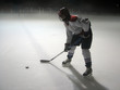 hockey player