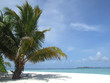 Maldives