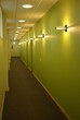 The green corridor