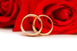 Two wedding rings and red roses isolated on white Two wedding rings and red roses isolated on white