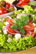 Fresh vegetarian salad