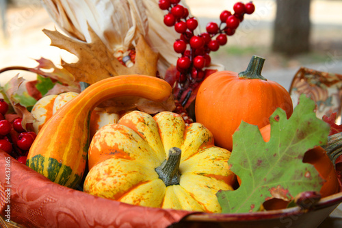 Photo: Thanksgiving Harvest Basket Thanksgiving Harvest Basket