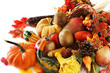 Photo: Cornucopia Cornucopia