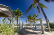Palm beach