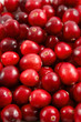 Cranberry