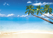 Island  on the ocean