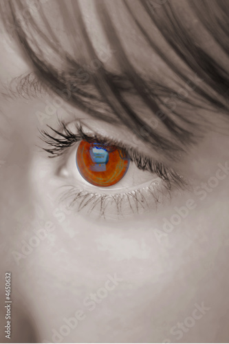 Auge